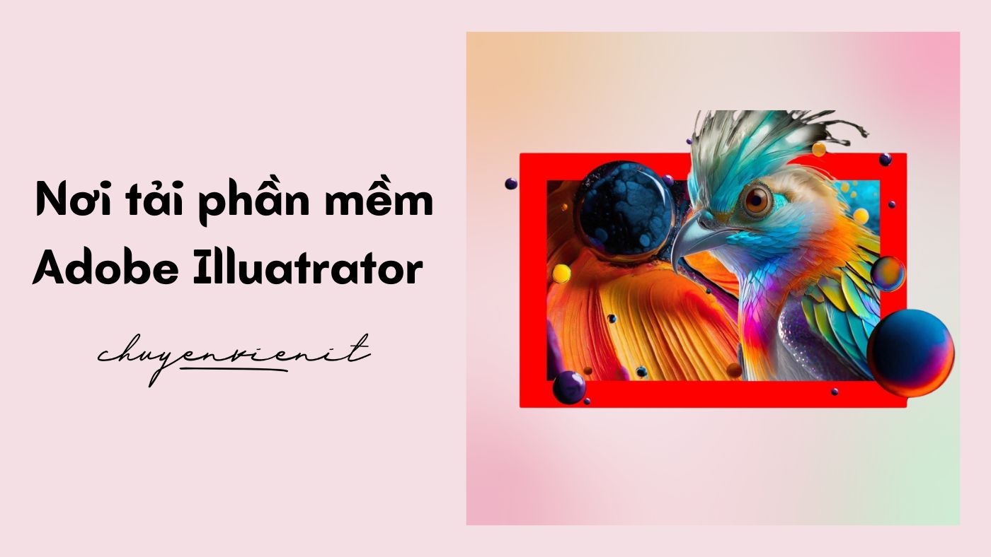 Nơi tải phần mềm Adobe Illuatrator