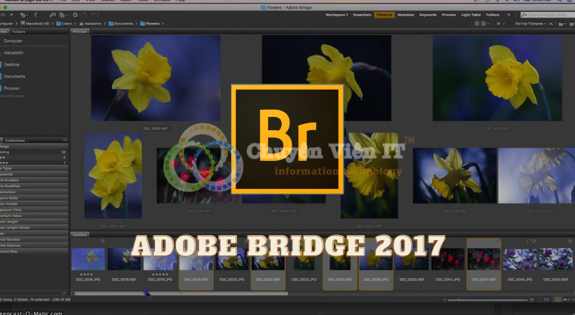 Adobe Bridge 2017