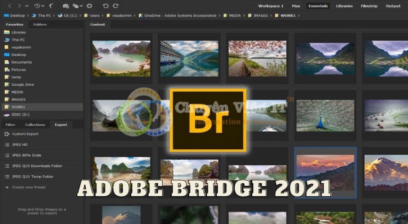 Bridge 2021 | Bản Quyền Vĩnh Viễn - Miễn Phí 100% Link Drive