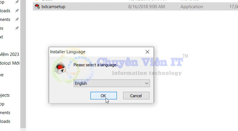 Chọn ngôn ngữ sau đó chọn Ok.