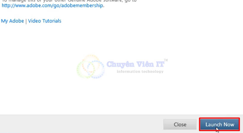 Adobe SpeedGrade cs6