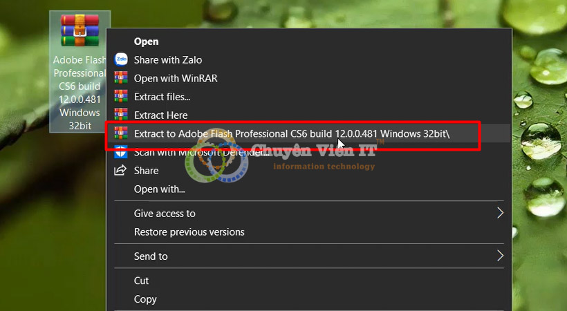 Adobe Flash Professional CS6
