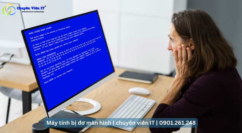 máy tính bị đơ màn hình