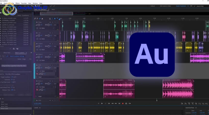 Phần mềm bổ trợ chuyên nghiệp cho Audition.