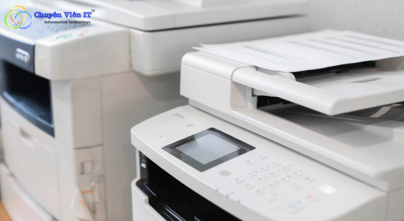 Dấu hiệu nhận biết