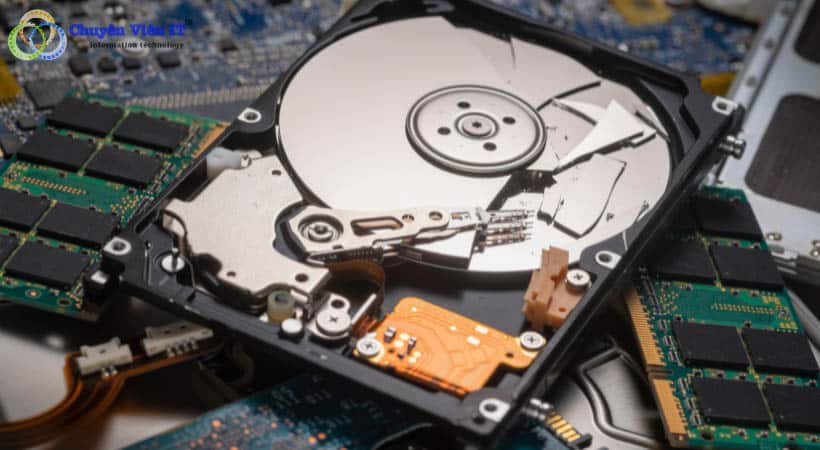 Dấu hiệu nhận biết