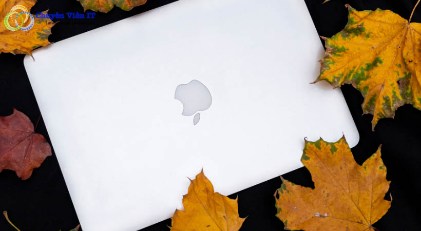 Dấu hiệu nhận biết.